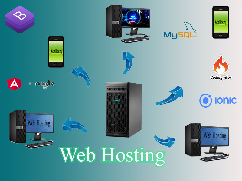 Web Hosting